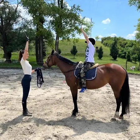 Pilisi Lovas Major, 3* Dorog