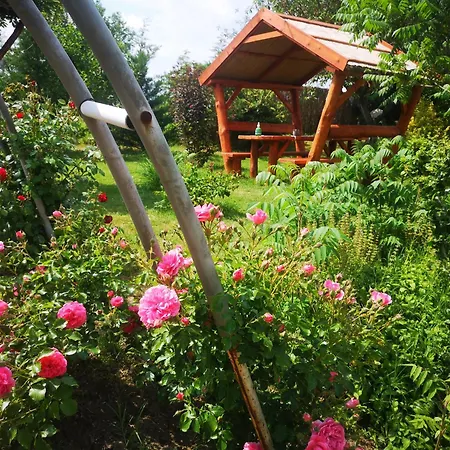 Pilisi Lovas Major, B&B Dorog