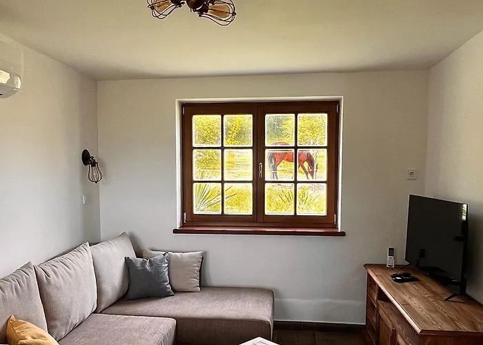 Pilisi Lovas Major, 3* Dorog