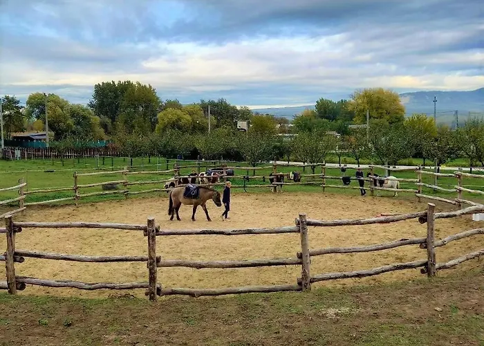 Pilisi Lovas Major, B&B Dorog