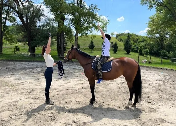 Pilisi Lovas Major, 3* Dorog