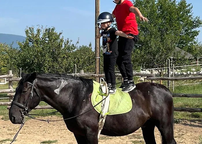 Pilisi Lovas Major, B&B 3*