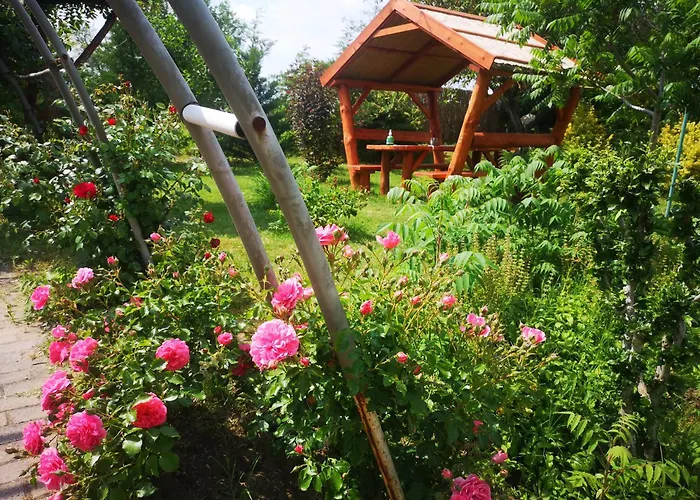 Pilisi Lovas Major, B&B Dorog