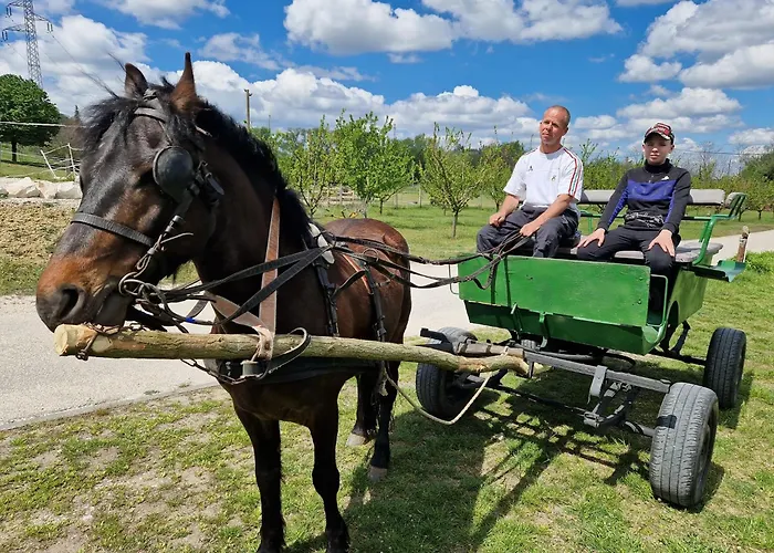 Pilisi Lovas Major, 3*