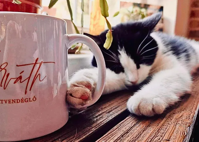 B&B Pilisi Lovas Major, 3*